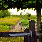 In Kempense Landschap Бергейк