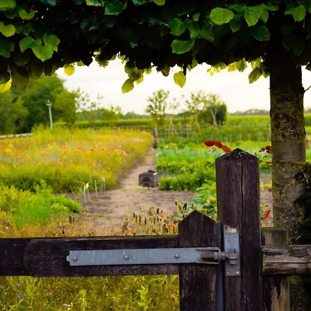 In Kempense Landschap Bergeijk